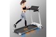 Беговая дорожка Clear Fit IT 4300 S фото 3