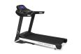 Беговая дорожка Carbon Fitness Premium World Runner T1 фото 1