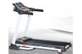 Беговая дорожка Fitex Deluxe фото 1
