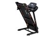 Беговая дорожка Royal Fitness RF-6 фото 5