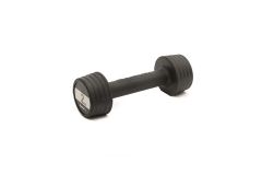 Гантели 2x2 кг, пара Reebok RSWT-16052
