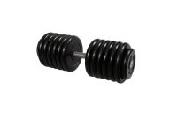 Гантель Профи с вращающающейся ручкой, 66 кг MB Barbell MB-FdbM-B66