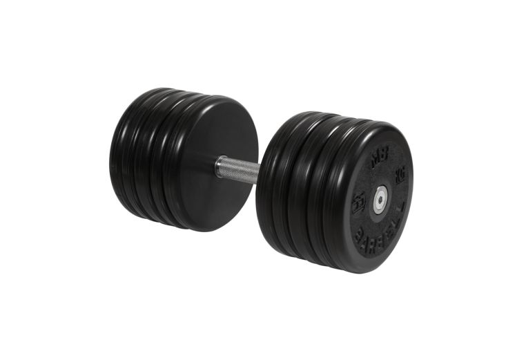 Гантель классик MB Barbell с вращающейся ручкой 55 кг MB-FdbEM-B55 