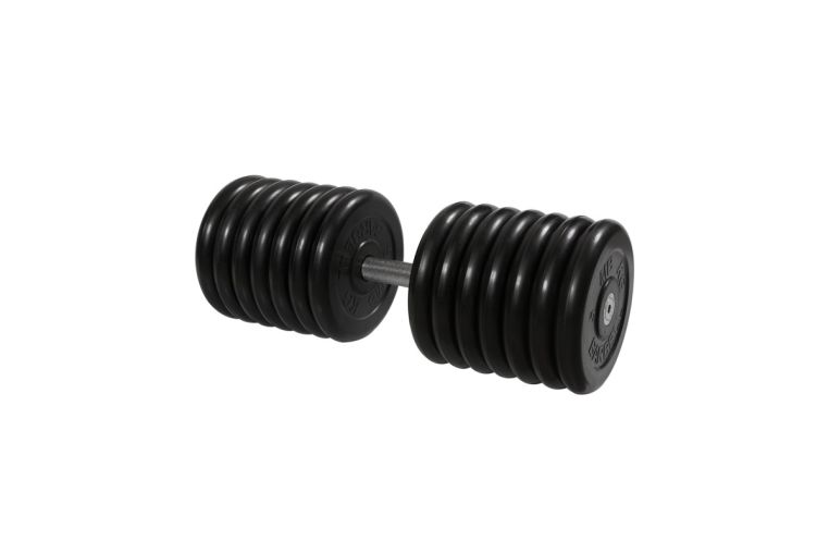 Гантель Профи с вращающающейся ручкой, 71 кг MB Barbell MB-FdbM-B71 