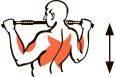 Турник настенный разборный Spektr Sport Акцент, белый фото 8