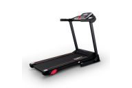 Электрическая беговая дорожка Everyfit 74305A