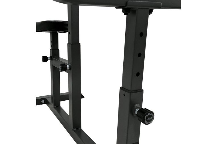 Скамья Скотта DFC Homegym UB008 фото 4