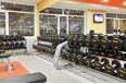 Гантели фиксированные обрезиненные 26 кг Foreman FM\ARD-26KG\BK-FL-00 пара фото 7