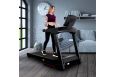 Электрическая беговая дорожка Everyfit 75005LT фото 19