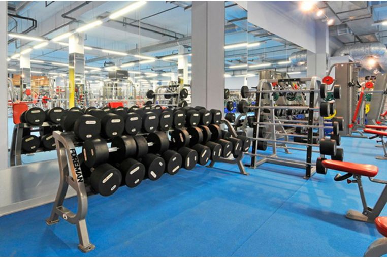 Гантели фиксированные обрезиненные 18 кг Foreman FM\ARD-18KG\BK-FL-00 фото 5
