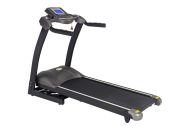 Беговая дорожка CarFitness TS-2205
