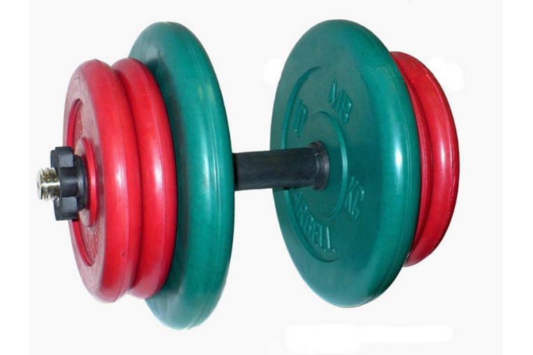 Гантель разборная MB Barbell Диски обрезиненные цветные 42 кг 