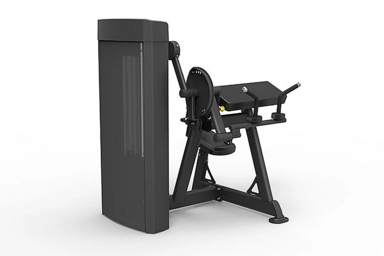 Бицепс\Трицепс сидя Spirit Fitness SP-4607 фото 2