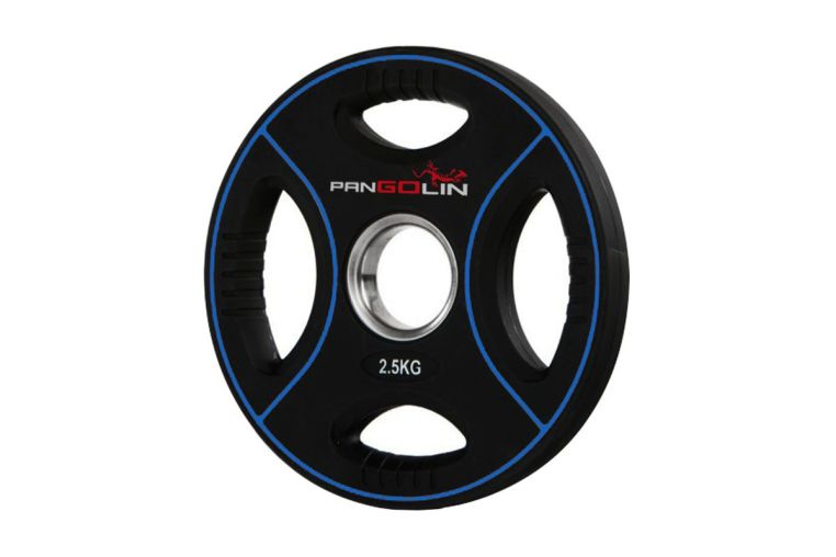 Диск олимпийский d51мм Pangolin X-Line WP012PU 2,5кг черный с синими полосами 