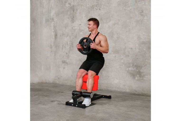 Тренажер для приседаний Sissy Squat DFC IN21715 фото 3