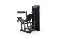 Скручивание / Разгибание спины Matrix Versa Plus