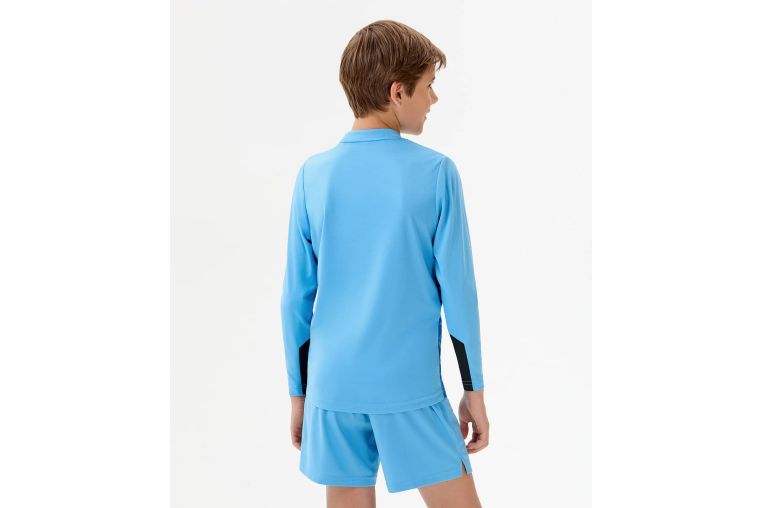 Свитер вратарский Jogel PerFormDRY SPLASH GK Jersey, голубой фото 7