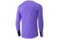 Свитер вратарский Jogel DIVISION PerFormDRY GK Pattern LS, сиреневый/темно-серый/белый фото 2