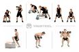 Гантель EVO 20кг полиуретановая YouSteel фото 3