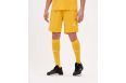 Шорты игровые Jogel DIVISION PerFormDRY Union Shorts, желтый фото 10