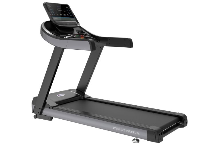 Профессиональная беговая дорожка BCFit TS-6PR 