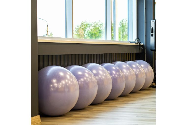 Гимнастический мяч антивзрыв D55 см PROFI-FIT фото 2