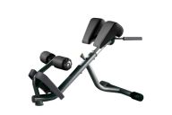 Technogym Lower Back Bench