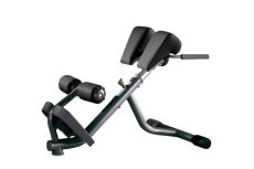 Technogym Lower Back Bench
