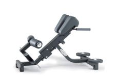 Technogym Lower Back Bench Pure