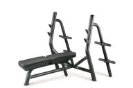 Technogym Horizontal Bench