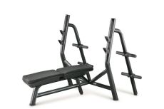 Technogym Horizontal Bench